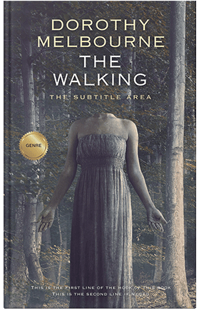 Pre Made Book Cover Ship Gray