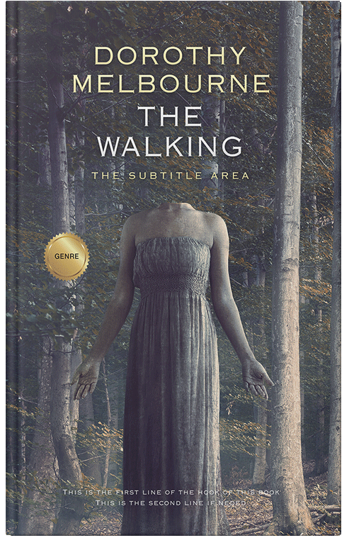 Front view of Premade Mystery & Thriller & Suspense Book Cover - Ship Gray