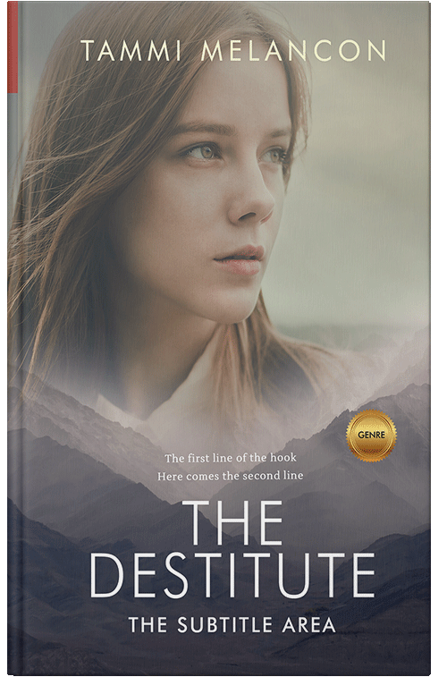 Front view of Premade Fantasy Book Cover - Schooner