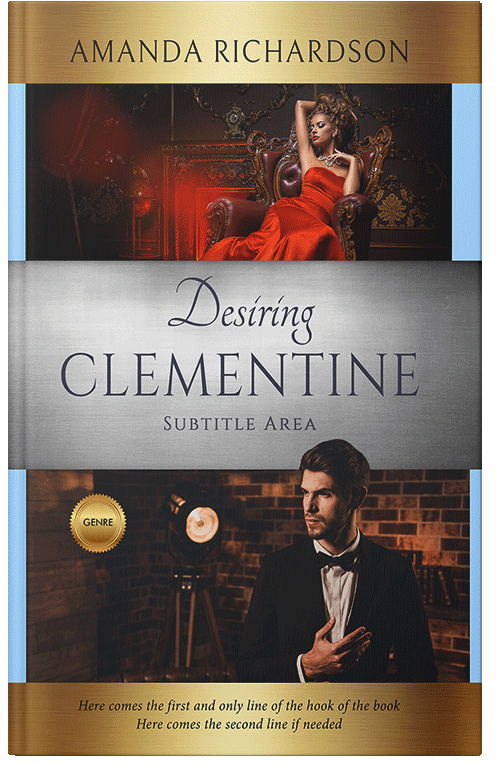 Front view of Premade Business Book Cover - Akaroa