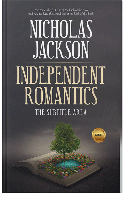 Front view of Premade Surreal Book Cover - Ship Gray