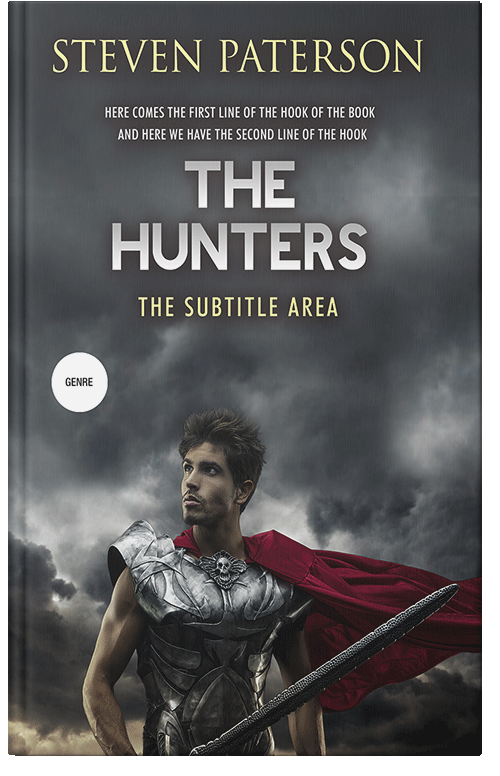 Front view of Ship Gray #2739 - Premade Fantasy Book Cover