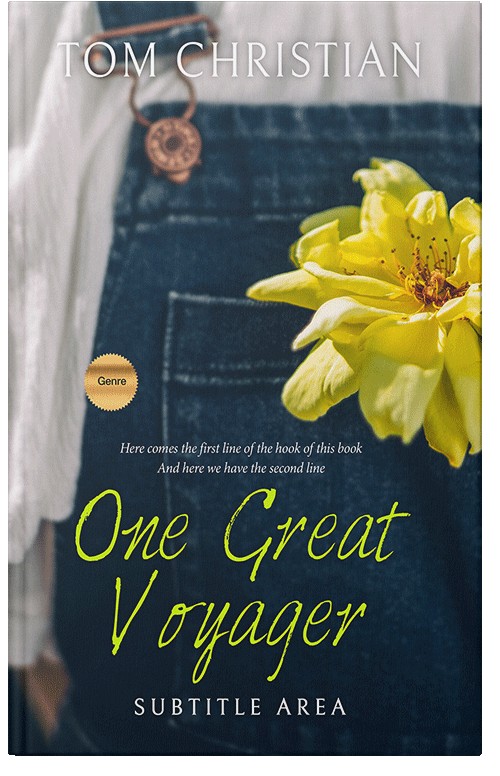 Front view of Premade Teen & Young Adult Book Cover - Big Stone