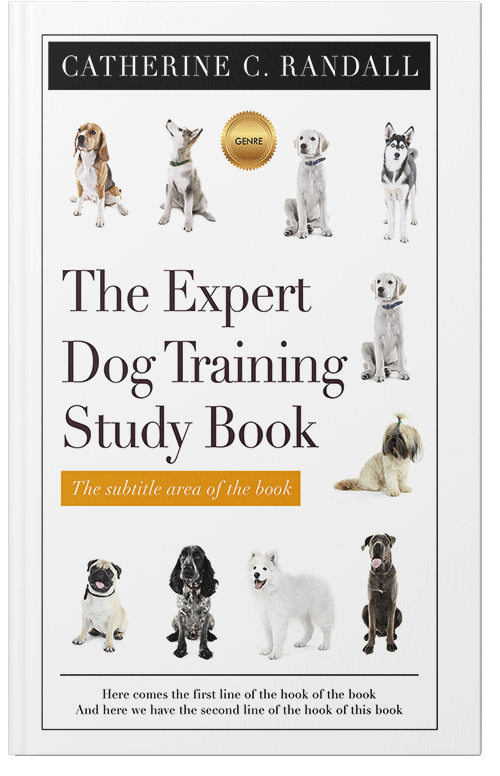 Front view of Premade Abstract Book Cover - Swirl