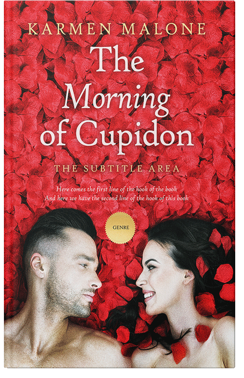 Front view of Premade Erotica Book Cover - Punch