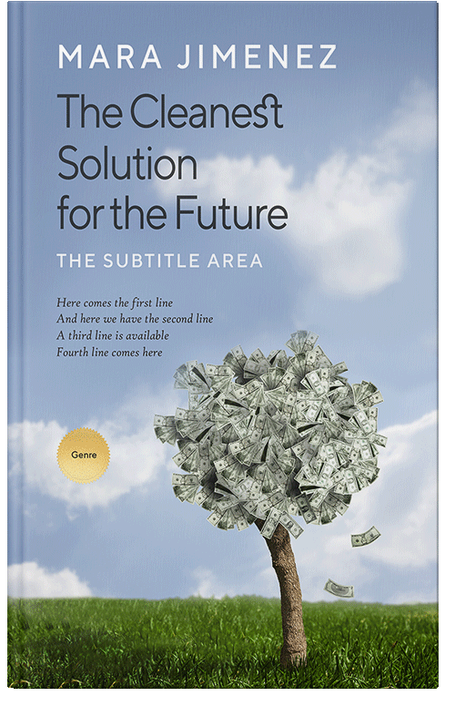 Front view of Premade Business Book Cover - Rock Blue