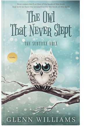 Pre Made Book Cover Jet Stream