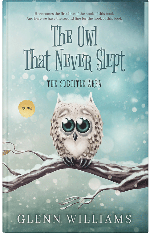 Front view of Premade Fantasy Book Cover - Jet Stream