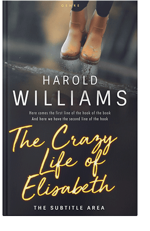 Pre Made Book Cover Baltic Sea