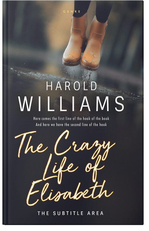 Front view of Premade Teen & Young Adult Book Cover - Baltic Sea