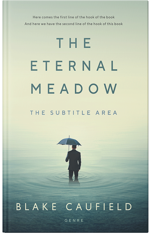 Front view of Premade Abstract Book Cover - Kidnapper