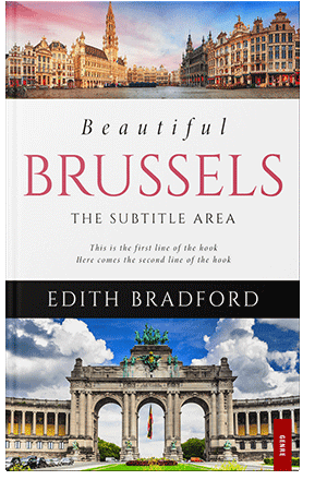 Pre Made Book Cover Silver Rust