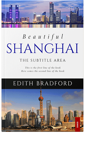 Pre Made Book Cover Wild Blue Yonder