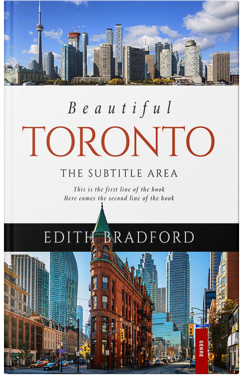 Front view of Premade Travel Book Cover - Shark