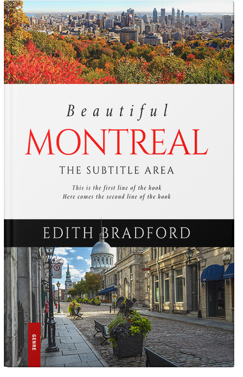 Front view of Premade Travel Book Cover - Armadillo