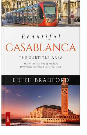 Pre Made Book Cover Falcon