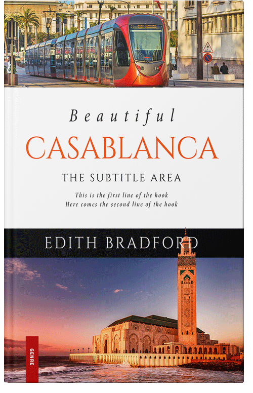 Front view of Premade Travel Book Cover - Falcon