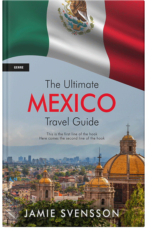 Front view of Premade Travel Book Cover - Hit Gray