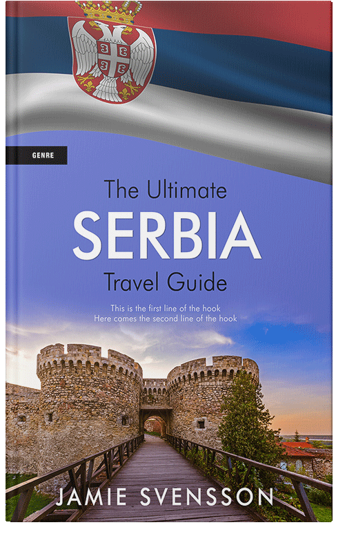 Front view of Premade Travel Book Cover - Wild Blue Yonder