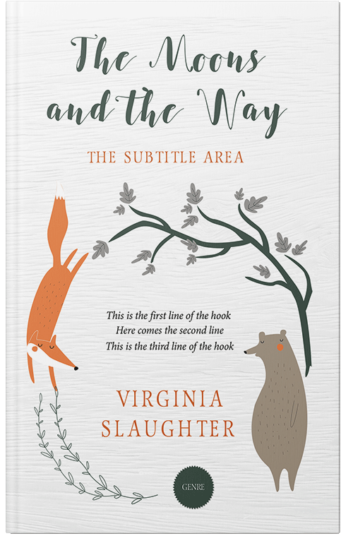 Front view of Premade Children's Book Cover - Desert Storm