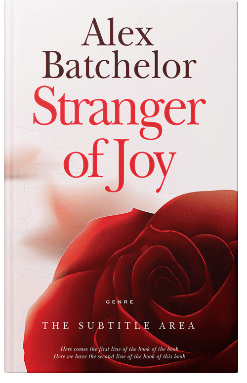 Front view of Premade Romance Book Cover - Fantasy