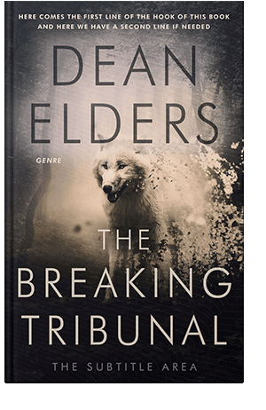 Pre Made Book Cover Vanilla