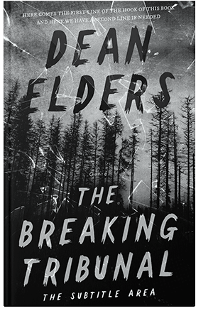 Pre Made Book Cover Silver Sand