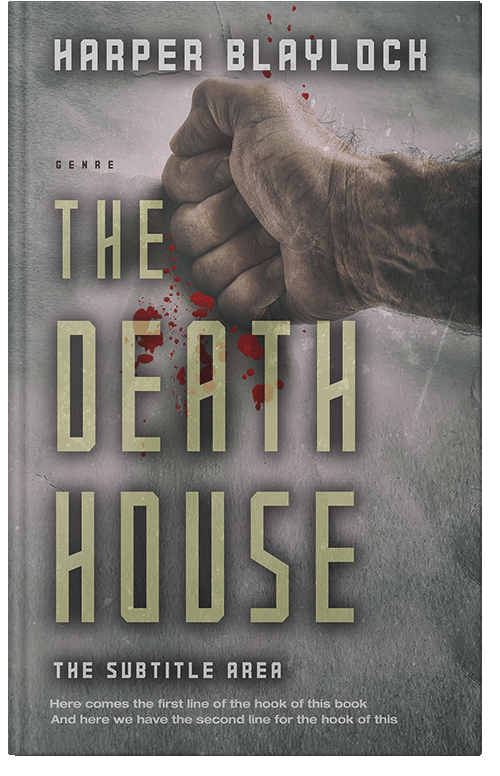 Front view of Premade Mystery & Thriller & Suspense Book Cover - Flint
