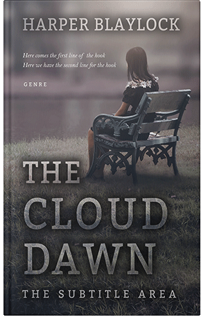 Premade Book Cover Ship Gray