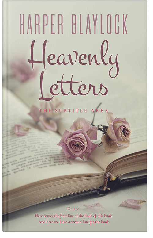 Front view of Premade Romance Book Cover - Foggy Gray