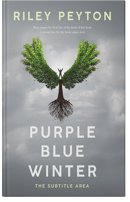 Front view of Premade Self-Improvement & Self-Help Book Cover - Gray Chateau