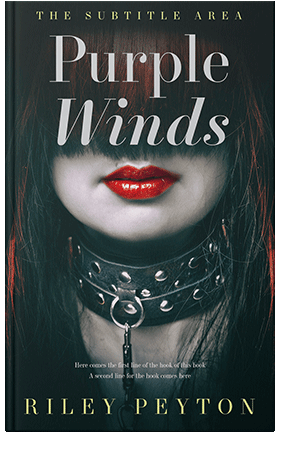 Pre Made Book Cover Aztec