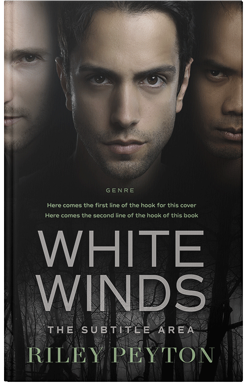 Front view of Premade Action & Adventure Book Cover - Zorba