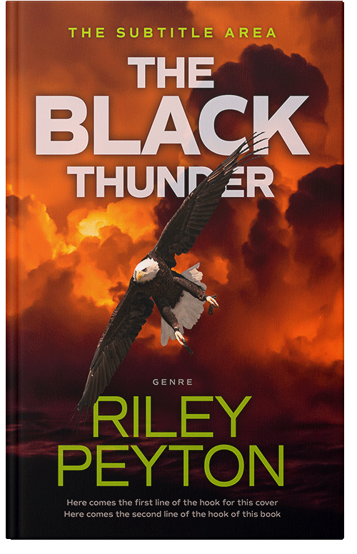 Front view of Premade Mystery & Thriller & Suspense Book Cover - Aubergine