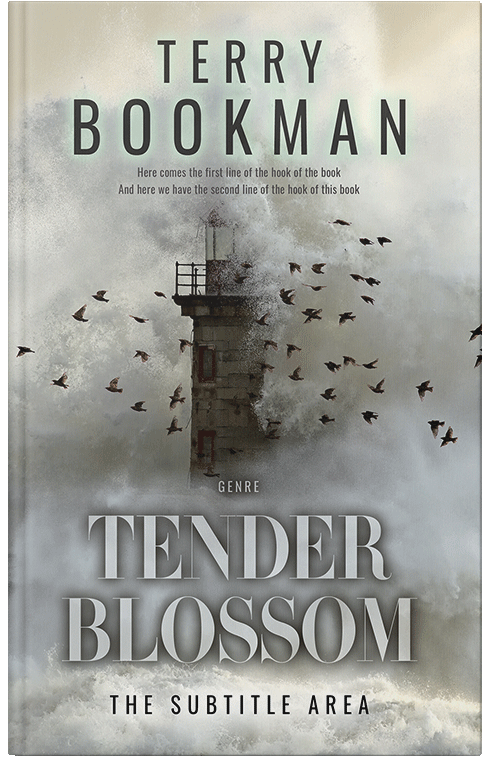 Front view of Premade Romance Book Cover - Gray Nickel