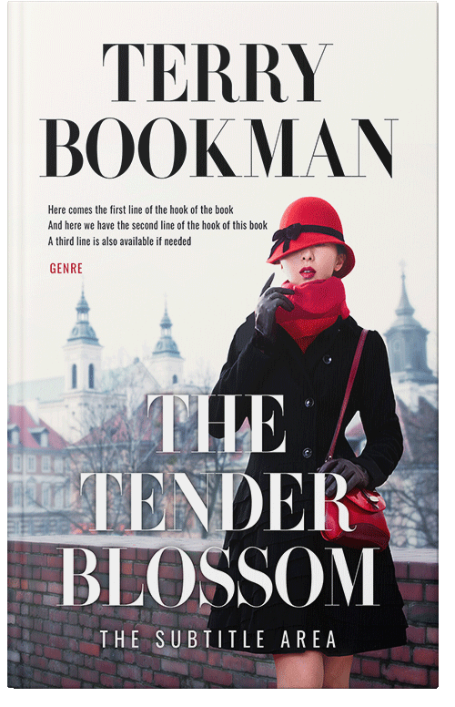 Front view of Premade Chick Lit Book Cover - Quill Gray