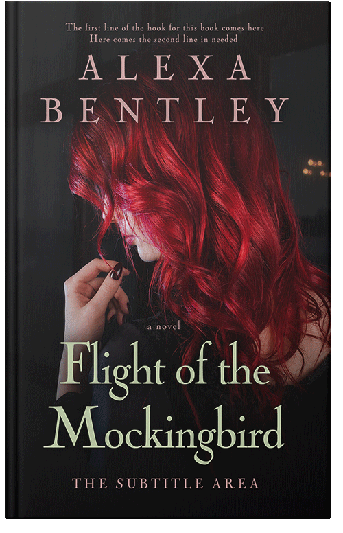 Front view of Premade Romance Book Cover - Gondola