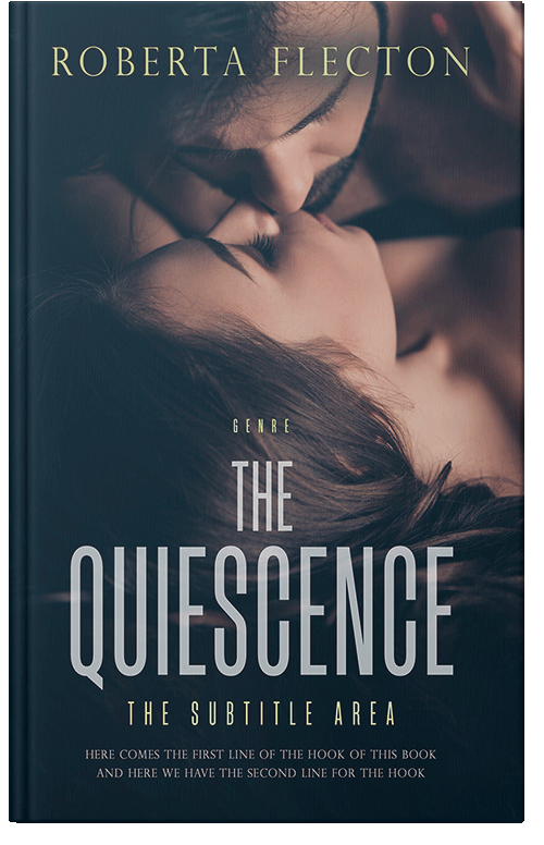 Front view of Premade Erotica Book Cover - Big Stone