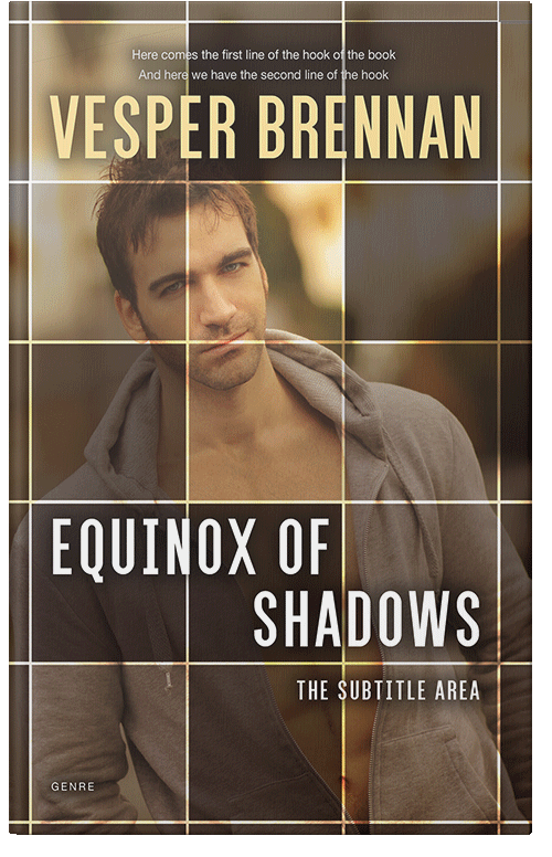 Front view of Premade Erotica Book Cover - Judge Gray