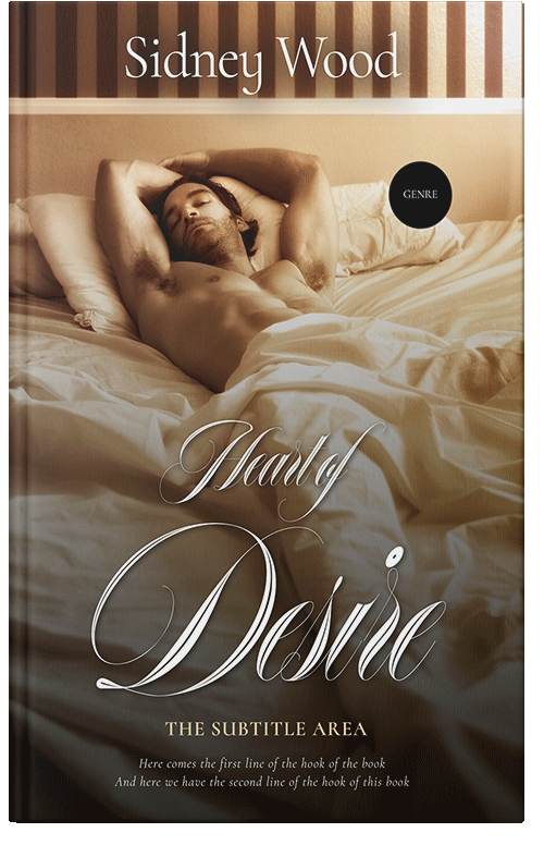 Front view of Premade Erotica Book Cover - Saddle