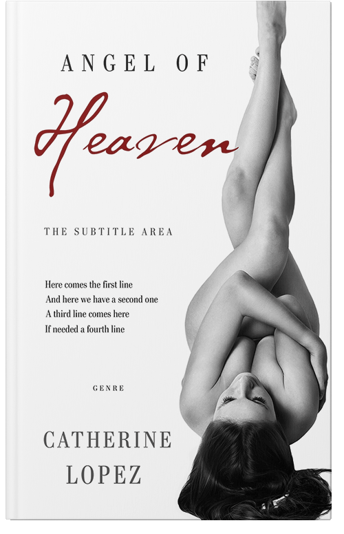 Front view of Premade Erotica Book Cover - Silver