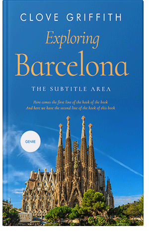 Premade Book Cover Denim