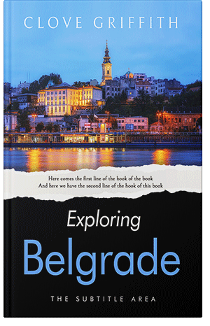 Premade Book Cover Malibu