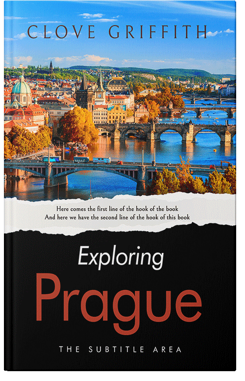 Front view of Premade Travel Book Cover - Cod Gray