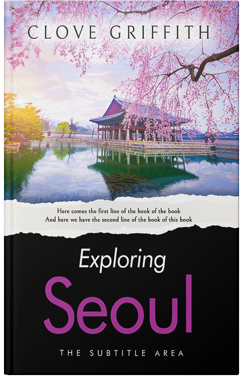 Front view of Premade Travel Book Cover - Mischka