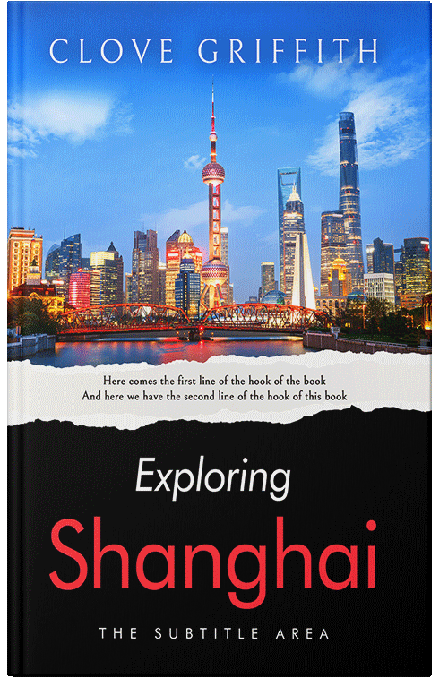 Front view of Cod Gray #10340 - Premade Travel Book Cover