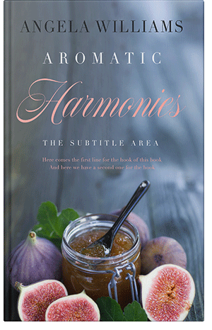 Premade Book Cover Shuttle Gray