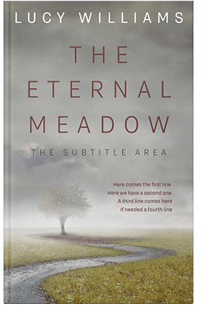 Pre Made Book Cover Dawn