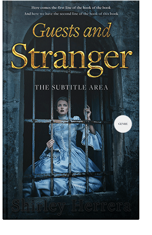 Pre Made Book Cover Aztec