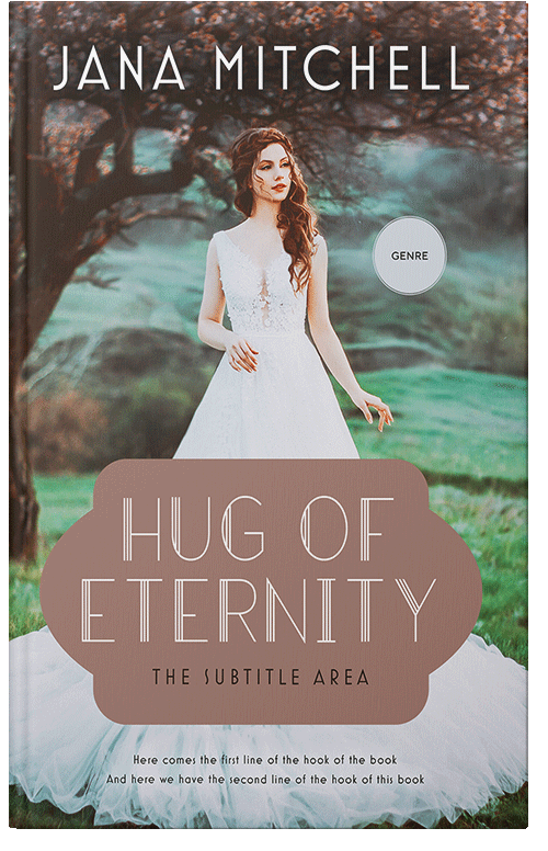 Front view of Premade Romance Book Cover - Stonewall